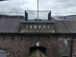 IMG_1873